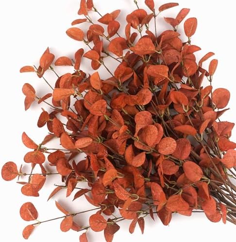 HomeKaren Fall Stems 6 Pcs Artificial Eucalyptus Fall Leaves 27.5 inch Fall Floral Picks, Fall Branches Decor for Vase, Fall Vase Filler Decoration Indoor