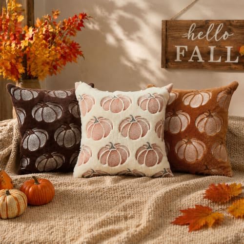 DFXSZ Fall Pillow Covers 20x20 Rust Pumpkin Plush Autumn Home Decor 093B20