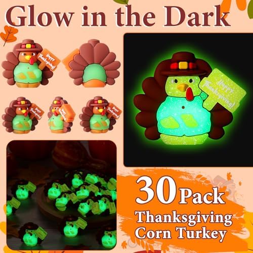 Domensi 30 Pcs Thanksgiving Mini Turkey Glow in Dark Figures Gifts, Sign