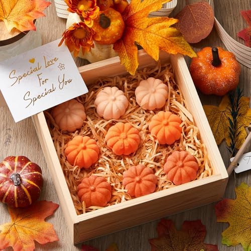 Lounsweer 24 Pack Little Pumpkin Bath Bombs Fall Baby Shower Favors,Orange