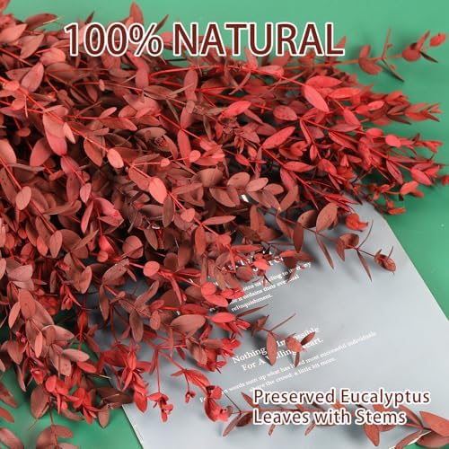 Dried Eucalyptus Leaves Stems, Preserved Real Eucalyptus Plant, Dried Willow Branches Bundle for Wedding Wreath Home Fragrance Vase Filler Bathroom Decor, Fall Arrangement Decorations (Red, 3oz)