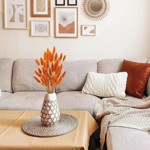 Dried Bunny Tails Flowers Lagurus Ovatus Orange Pampas Grass Natural Dried Floral Arrangement Dry Flowers for Halloween Christmas Boho Decor Home Wedding DIY Craft Decoration