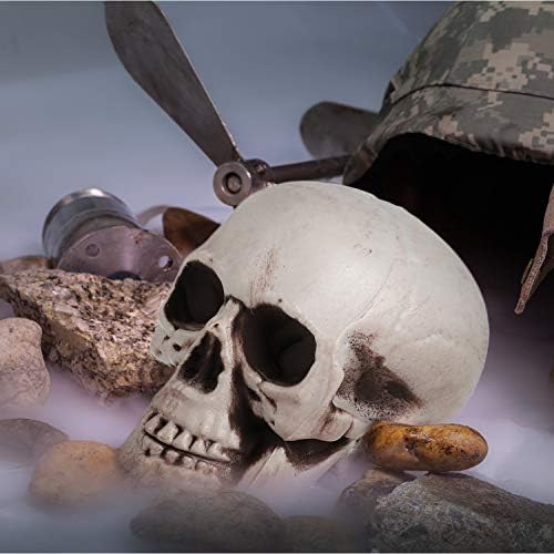 Boao 8 Pcs Halloween Skull Heads, 2.4 x 3.1 in Skeleton Skulls for Decor