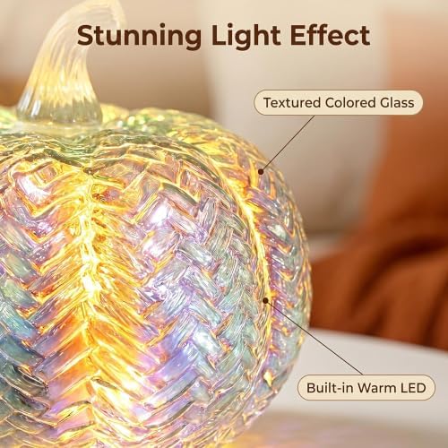 Fall Decor,Mercury Glass Light up Pumpkin Lights with Timer(Colorful)