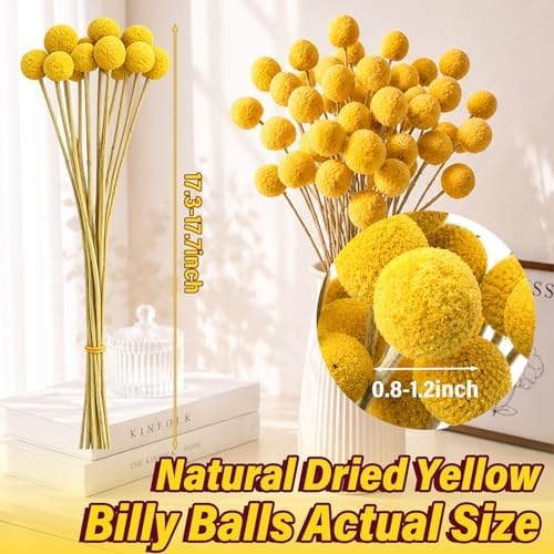 40pcs Dried Billy Balls Flowers for Wedding Decor & Floral Displays