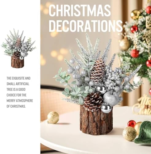 hatisan Small Christmas Tree,Artificial Christmas Tree with Christmas Ornaments Pine Cone Berry,Tabletop Christmas tree for Christmas Decorations Home Room Party Winter Indoor Outdoor (Silver-Round)