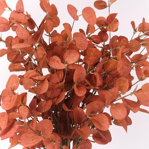 HomeKaren Fall Stems 6 Pcs Artificial Eucalyptus Fall Leaves 27.5 inch Fall Floral Picks, Fall Branches Decor for Vase, Fall Vase Filler Decoration Indoor