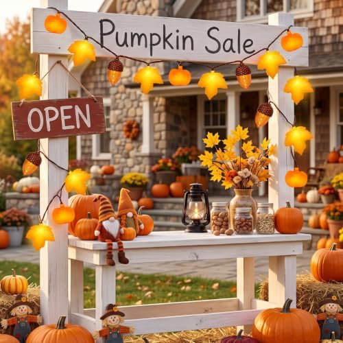 8.5Ft Fall Thanksgiving Decor String Lights, 10 LED Maple Leaves Acorn Pumpkins Lights Home Porch Fireplace Autumn Harvest Party, Indoor Outdoor Thanksgiving Decor, Plug in