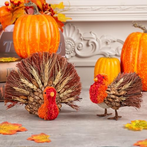 Thanksgiving Turkey Decor Set – 2 Natural Material for Table Home