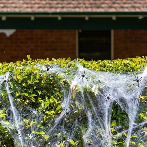 Halloween Spider Web Decoration, Cobwebs Halloween Decorations,Cobwebs Come With 20pcs Mini Spiders (500sqft+20Spiders)
