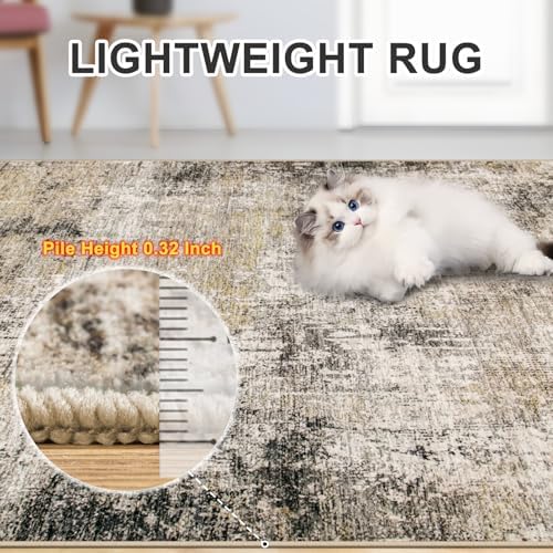 PLHXFR 10x12 Area Rug Living Room: Abstract Washable Carpet Brown Black