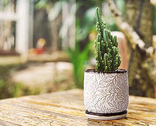 D'vine Dev Embossed Leaves Ceramic Planter, 4 in, Smoked White, 27-A-Z-1