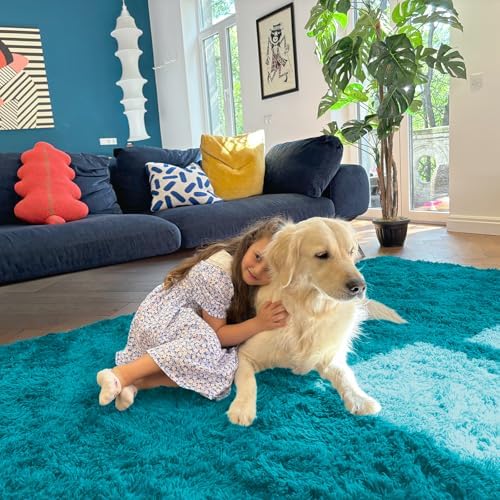 OLANLY Area Rugs for Living Room Bedroom, Machine Washable 4x5.9 ft Soft Fluffy Shaggy Bedside Rug, Indoor Floor Carpet