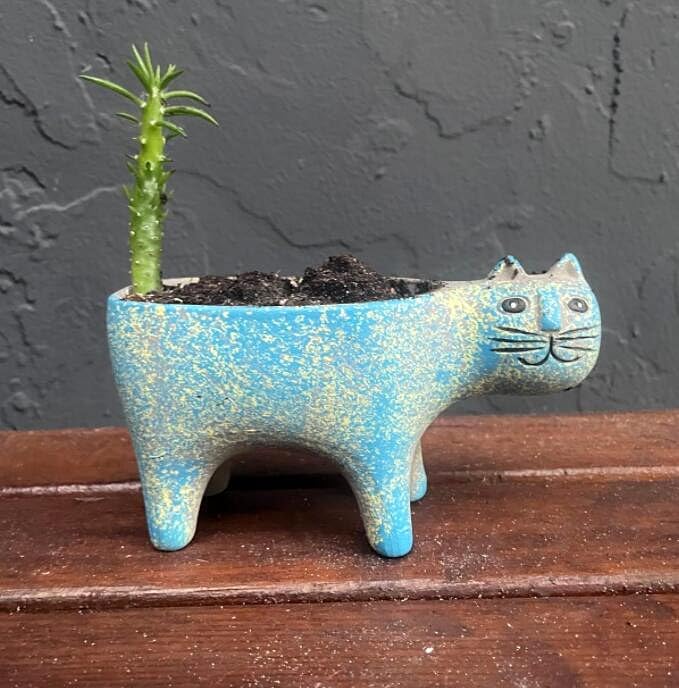 Retro Ceramic Cat Shape Succulent Plant Pot Cat Planter Decorative Soap Saver Tray Bathtub Sink