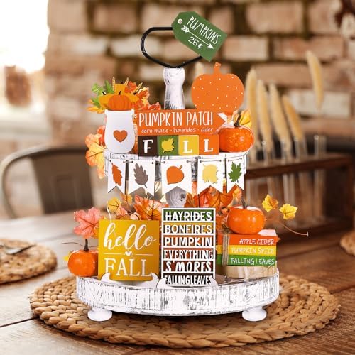FairySandy 19 Pcs Fall Tiered Tray Decor Set, Sweater Weather