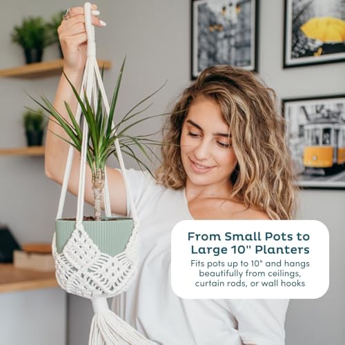 Macrame Plant Hangers / Cream / Set of 4
