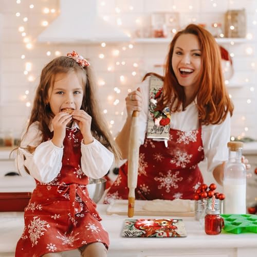 Bencailor 6 Pcs Christmas Kitchen Towel, Gray, Santa Claus