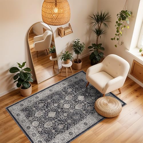 Washable 3x4 Entryway Area Rugs: Ultra Soft Low Pile Carpet for Kitchen Nursery Indoor Light-Weight Doormat Anti-Slip
