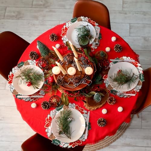 HunnmingRe Christmas Placemats Set of 6 Embroidered Velvet Poinsettia Table Mats 14 Inch White and Red Double Layer Xmas Placemats for Xmas Holiday Tabletop Home Dining Kitchen