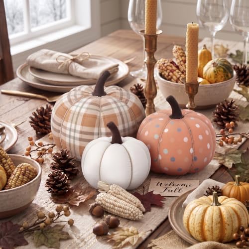 RattanView 3 Pcs Farmhouse Rustic Decorative Pumpkins, Solid Pattern Mix