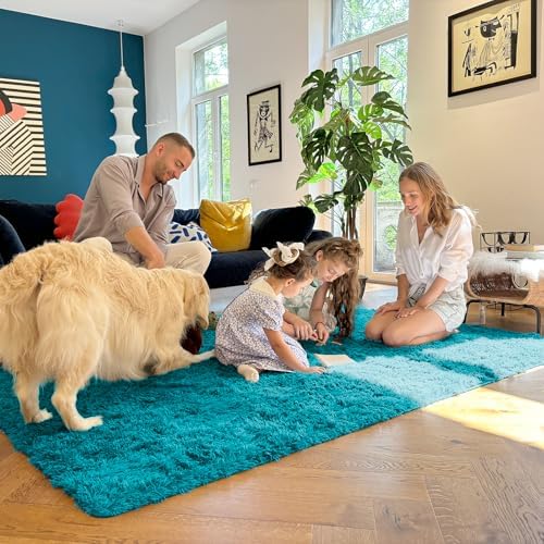 OLANLY Area Rugs for Living Room Bedroom, Machine Washable 4x5.9 ft Soft Fluffy Shaggy Bedside Rug, Indoor Floor Carpet