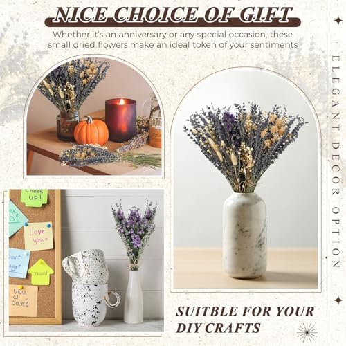 Layhit 4 Pack Large Size Boho Dried Flowers 15-17 Inch, Lavender