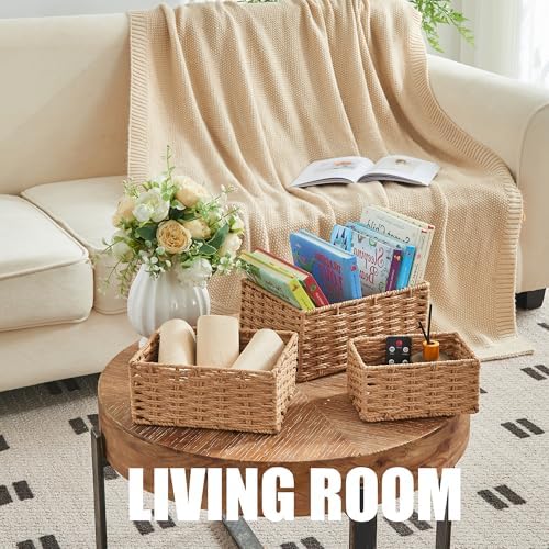 Woven Storage Basket / Neutral / Natural / Set of 3