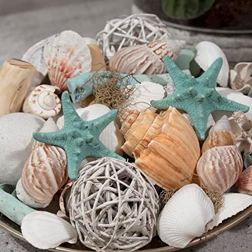 ANDALUCA Ocean Plumes Scented Seashell Potpourri Large 20 oz Bag with Fragrance Vial Coastal Decor