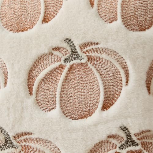 DFXSZ Fall Pillow Covers 20x20 White Pumpkin Plush Autumn Home Decor 093C20