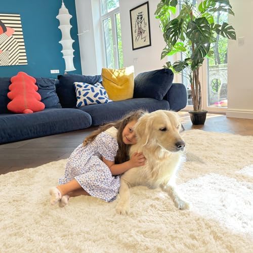 OLANLY 2x3 Machine Washable Small Bedside Rug, Soft Fluffy Shaggy Entryway Throw Rugs for Bedroom, Living Room, Indoor