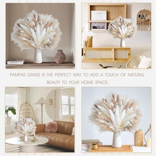 Dried Pampas Grass Boho Home Decor Bouquet Phragmites Dried Flowers Bouquet / Natural / Set of 96