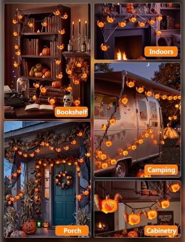 8.5FT 10 LED Outdoor Thanksgiving Turkey String Lights Plug in, Waterproof