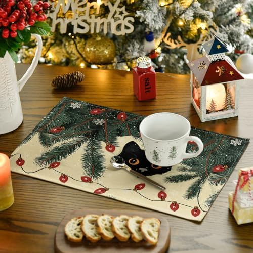 Artoid Mode Christmas Lights Cat Placemats Set of 4, 12x18 Inch Seasonal Winter Holiday Place Mats for Party Dining Table