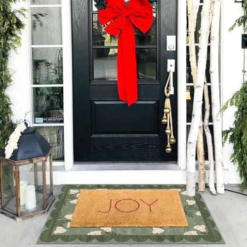 Front Door Mat Outside Entrance - 2x3 Sage Green Floral Entry Rug