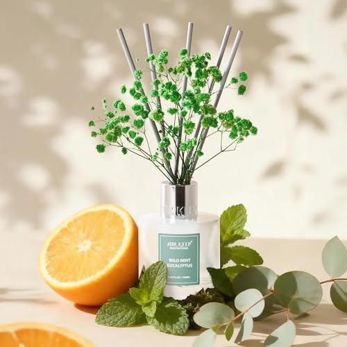 Airkeep Reed Diffuser Set,3.38 fl oz (100 ml) - Wild Mint&Eucalyptus Oil Diffusers with 8 Reed Sticks, Home Fragrance