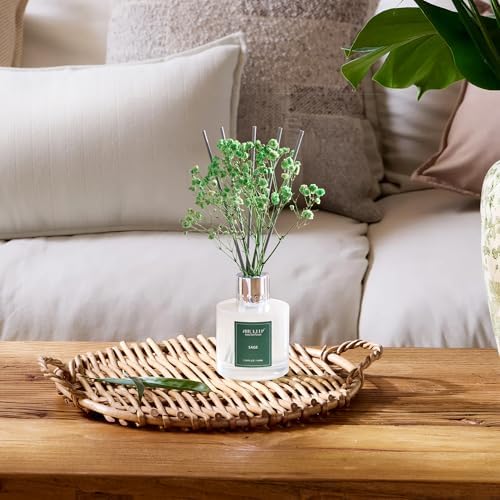 Airkeep Reed Diffuser Set, 3.38 fl oz (100 ml) - Sage Lemon Oil Diffusers with 8 Reed Sticks, Home Fragrance Reed
