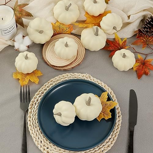 Artgar Pumpkin Decor - White Pumpkin - 10 PCS Mini Pumpkins Harvest Set