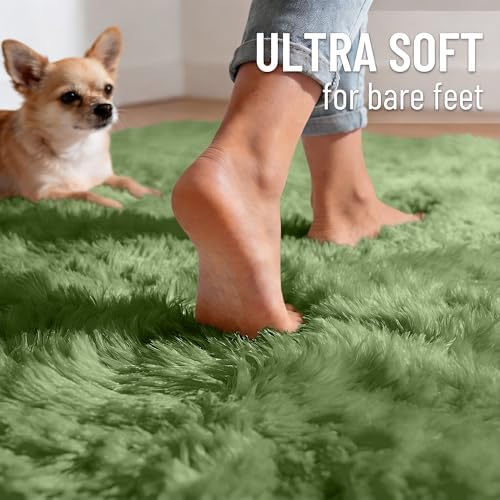 OLANLY 3x5 Machine Washable Small Bedside Rug, Soft Fluffy Shaggy Rugs for Living Room, Bedroom, Indoor Floor Carpet