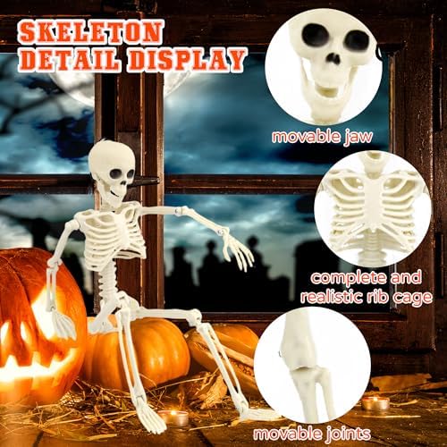 2 PCS 15.7" Posable Halloween Full Body Skeleton Decor with Movable Joints
