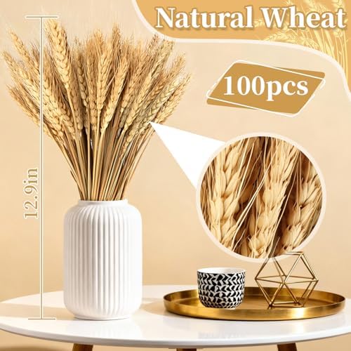 MAQIHAN 100 Stems Dried Wheat Stalks - Natural Wheat Straw Decor for Vases