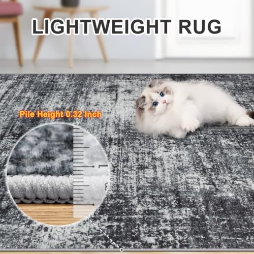 PLHXFR 6x9 Area Rug Living Room: Abstract Washable Carpet Dark Black
