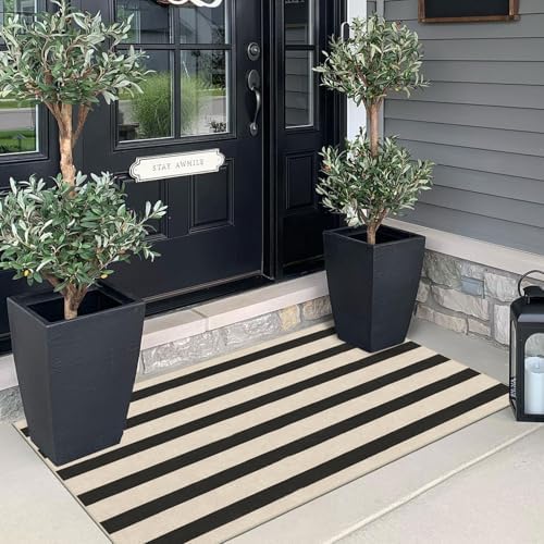 Front Door Mat Indoor Entrance - 2x4.3 Ft Black White Striped Rug
