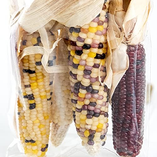 ANDALUCA Natural Decoration Indian Corn Bag | 12 Natural Husks for Fall, Autumn & Thanksgiving Home Decor (Mini Corn)