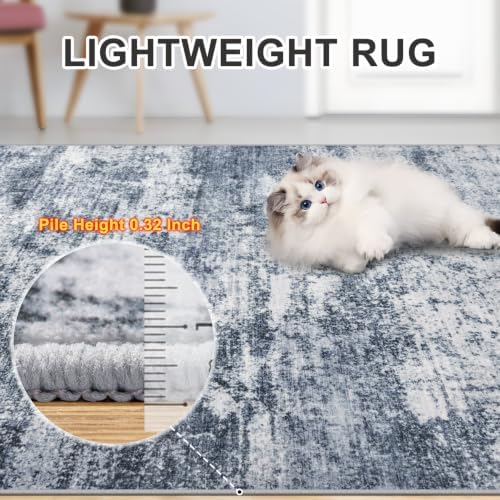 PLHXFR Area Rug Living Room: 4x6 Abstract Washable Carpet Grey Blue