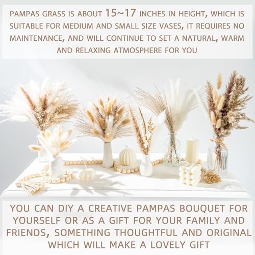 Dried Pampas Grass Boho Home Decor Bouquet Phragmites Dried Flowers Bouquet / Natural / Set of 96