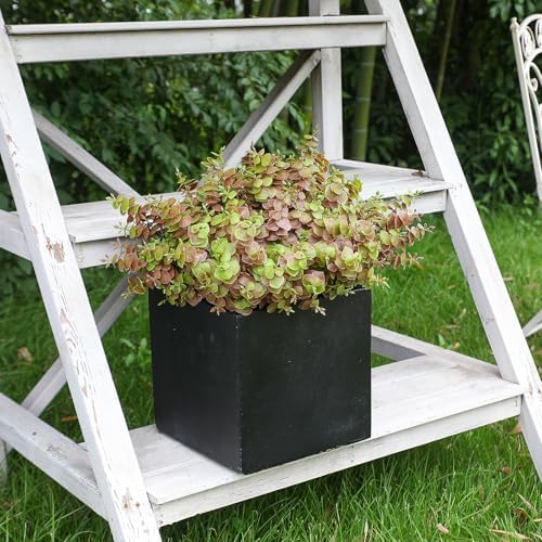 alyptus Artificial Fall Leaves Plant – 8PCS Outdoor Fake Greenery Boxwood Shrubs UV Resistant Fake Plants for Porch, Patio, Thanksgiving or Autumn Home Decor - Fall Leaves