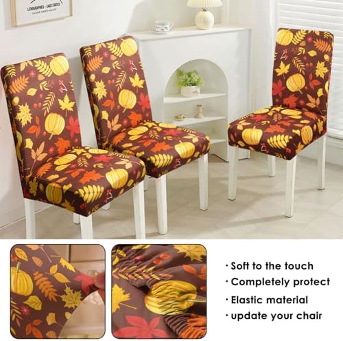 Fall Thanksgiving Chair Covers Set of 6, Pumpkin Maple Leaf Dining Chair Protectors, Elastic Removable Washable Dining Chair Covers, Suitable for Fall Thanksgiving Kitchen Dining Room Holiday Decor