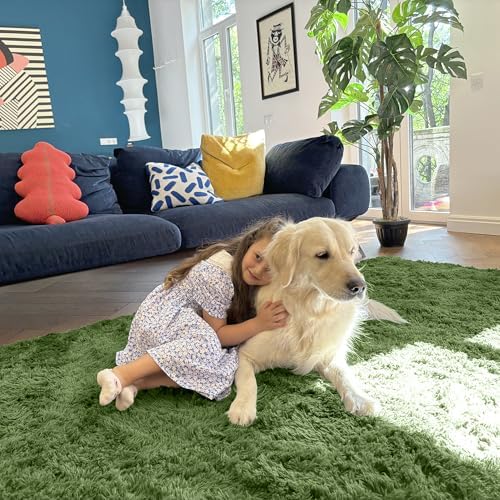 OLANLY 2x3 Machine Washable Small Bedside Rug, Soft Fluffy Shaggy Entryway Throw Rugs for Bedroom, Living Room, Indoor