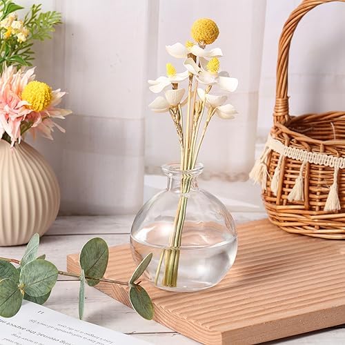 Tessco for you 3 Pcs 8.5 oz Glass Potion Bottles with Cork, Stylish