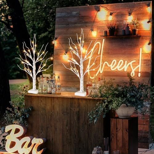 Vanthylit White Birch Tree with LED Lights - Set of 2, Tabletop Tree with Timer, Christmas Decorations Lighted Tree for Indoor Mantel Home Decor (2 FT, 24 LED)